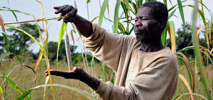 Helping farming families in Northern Ghana beat climate change through weather alerts